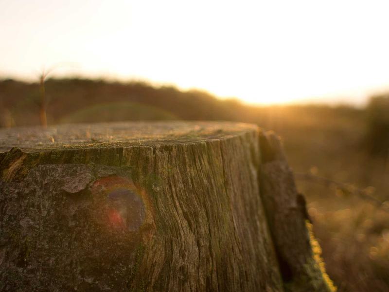 sudoku tips screenshot 4